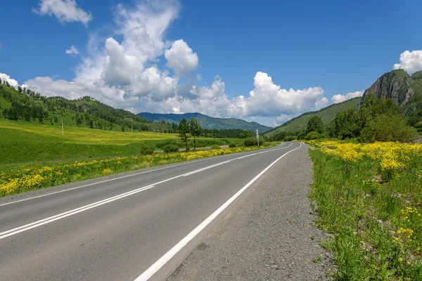 Road mountains sky asphalt flowers