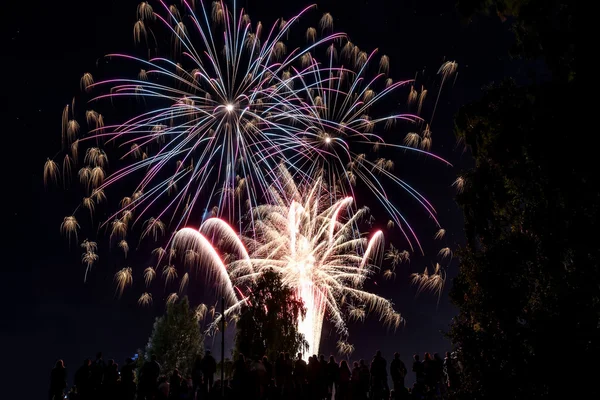 Fireworks salute celebration