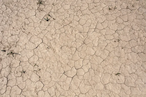 Desert ground cracks