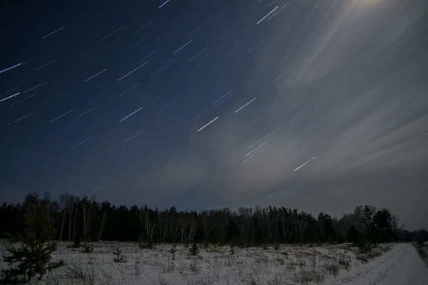 Forest road night snow stars