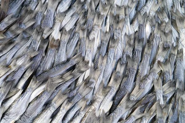 Salted fish in market