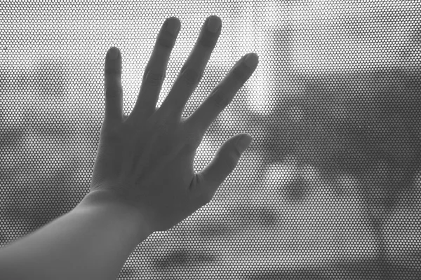 Woman hand on the window