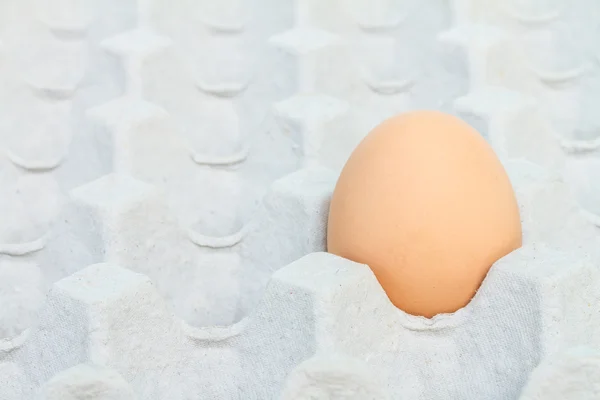 Egg in a carton package