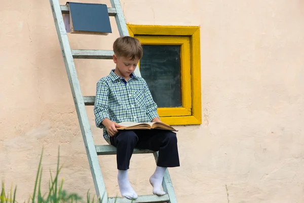 Boy studying book