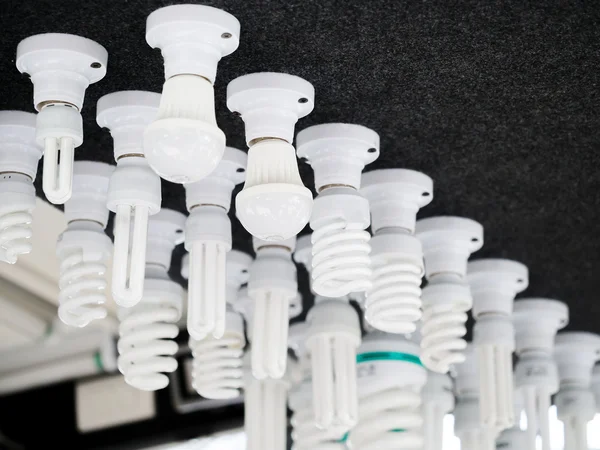 Different types of fluorescent and LED light bulbs