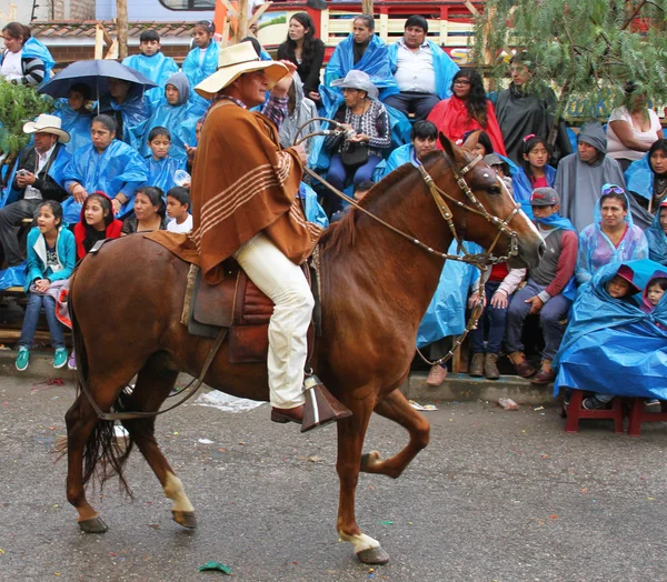 Peruvian Paso Horse Prances in Parade in Peru