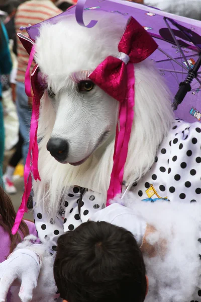 White Poodle Dog Mask in Carnival Parade