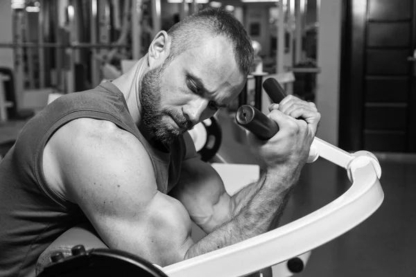 The athlete does bench biceps on the simulator in the gym. Hand muscle training on the simulator. Tense muscles of hands under load. Photos for sporting magazines, posters and websites.
