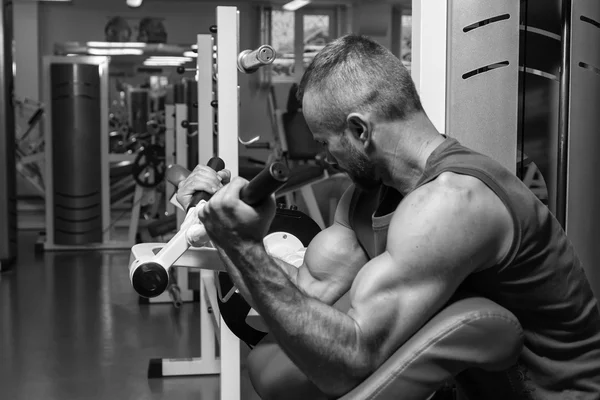 The athlete does bench biceps on the simulator in the gym. Hand muscle training on the simulator. Tense muscles of hands under load. Photos for sporting magazines, posters and websites.