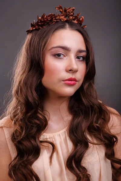 Portrait of a beautiful girl in the image of the Greek goddess. Beautiful professional makeup