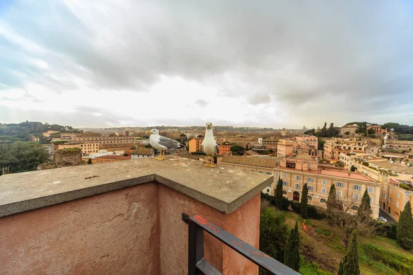 ROME - January 5: View of Rome from the observation platform 5, 2016 in Rome, Italy.
