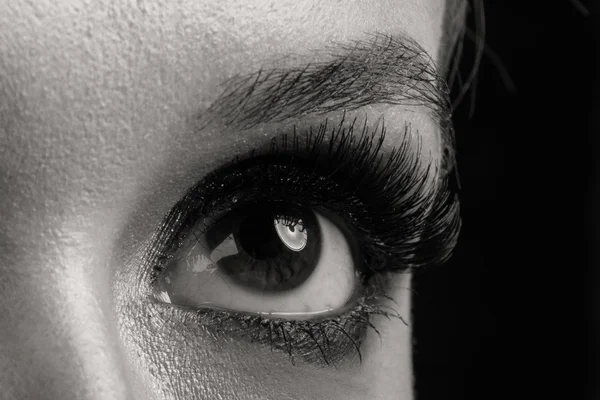 Beautiful female eye. Black and white photography