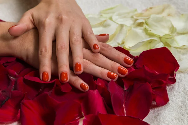 Beautiful hands with a nice manicure