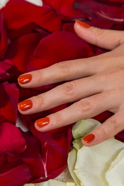 Woman\'s hands with red nail polish