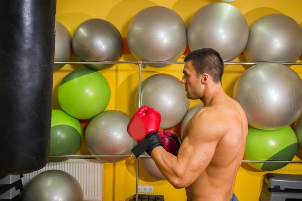 Muscular man in boxing gloves in gym