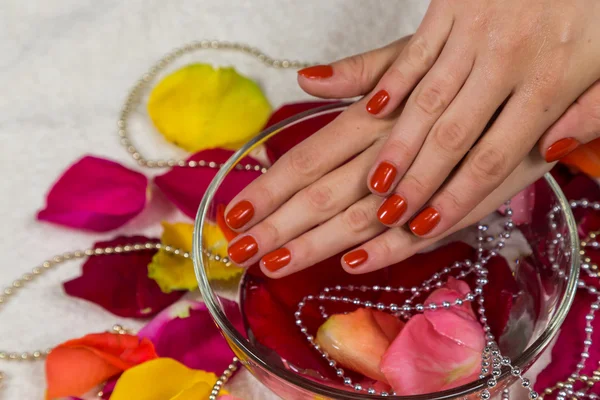 Manicured hands with red nail polish