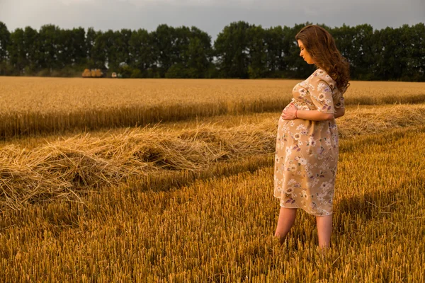 Beautiful pregnant woman on a walk in a wheat field