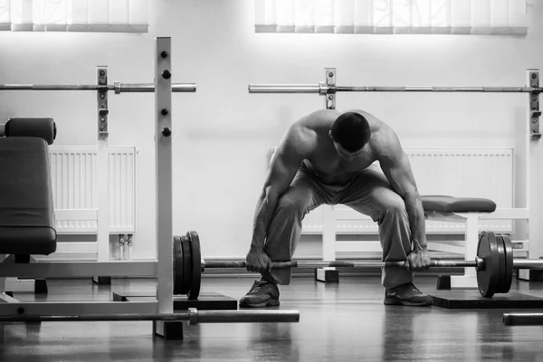 Strength training professional athlete in the gym