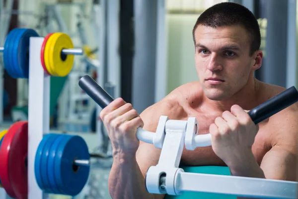 Muscular man in the gym. Work on the arm muscles.