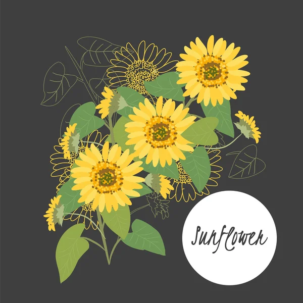 Illustration with beautiful flowers sunflower.