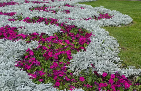 Curly flower bed
