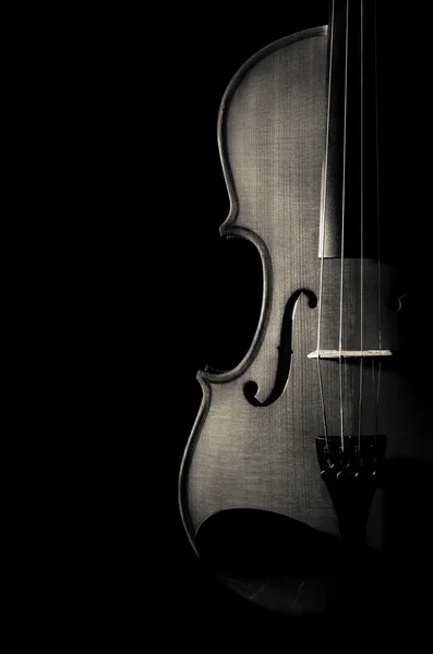 Top 96+ about violin wallpaper black and white 114 Single Soft Brown Violin With Brown Wallpaper Black And White Color Tone Style Stock Photo Picture And Royalty Free Image Image 42849488
