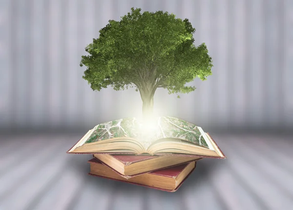 Tree growing from old books
