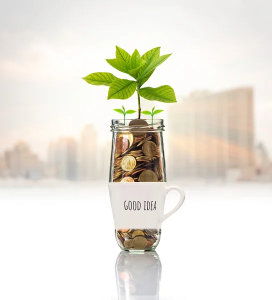 Gold coins and seed in clear bottle