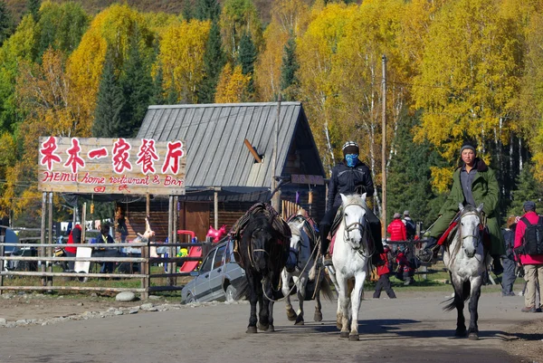 XINJIANG - SEP 23 : Undefined man riding a horse at hemu village on September 23, 2010. It has been ranked by China National Geography as one of the six most beautiful villages in China