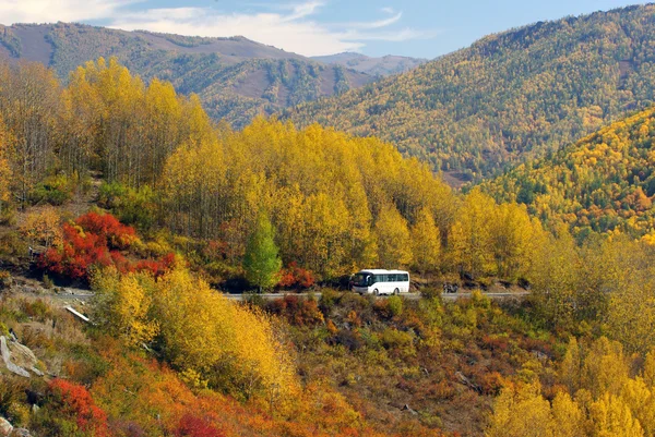 Road to autumn mountain at Xinjiang, china