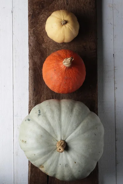 Whole pumpkins selection