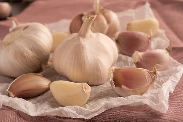 Raw garlic on a white tissue paper