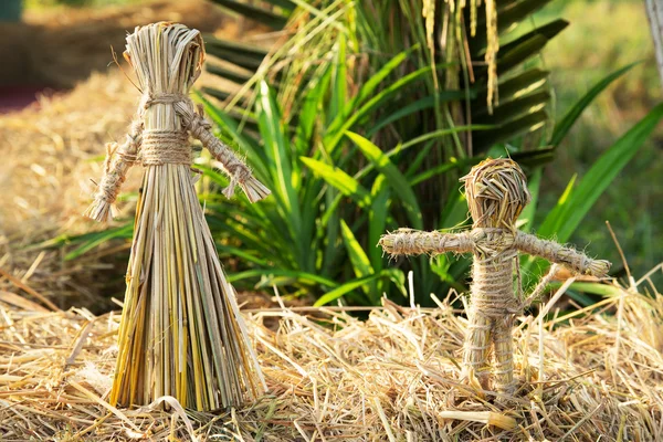 Girl and boy Rice straw puppets in organic for