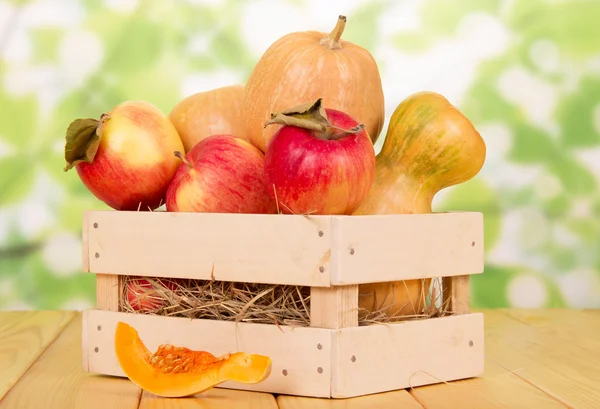 Ripe pumpkins and apples in  wooden box on abstract green background.