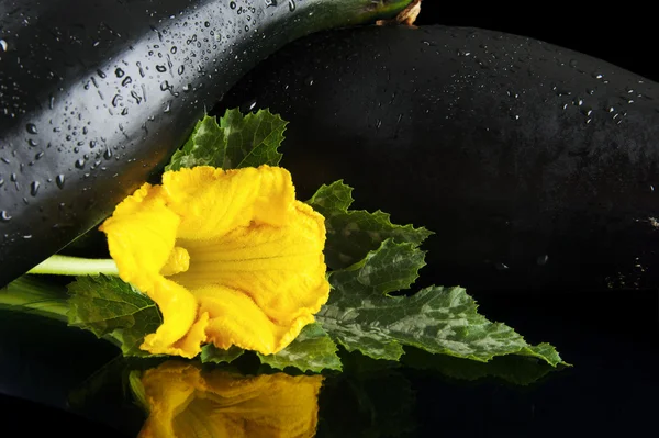 Cropped courgettes with flowers on black background