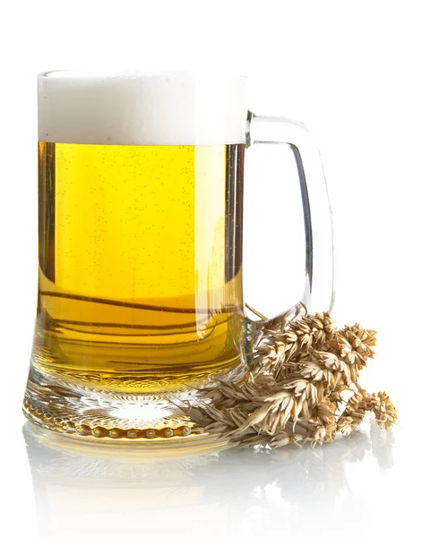 Pint of beer on table with ears of wheat isolated on white