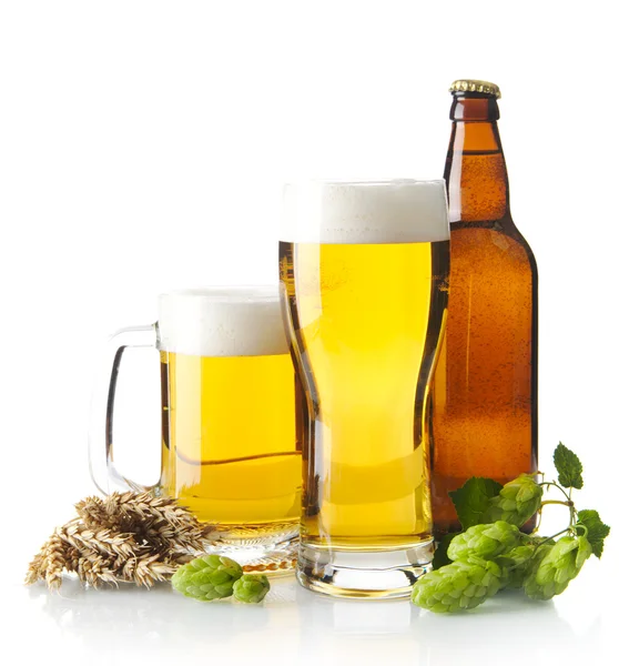 Mugs of beer on table with hop cones, ears of wheat isolated on white