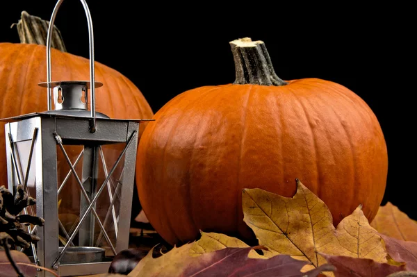 Pumpkins with lantern for thanksgiving day on black background