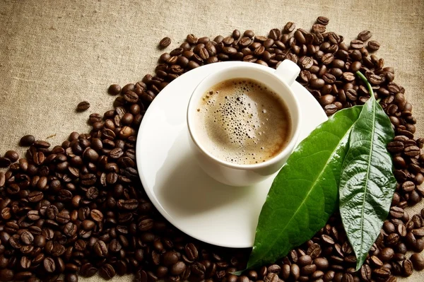 Coffee with foam cup with beans in the corner with green leaf on linen