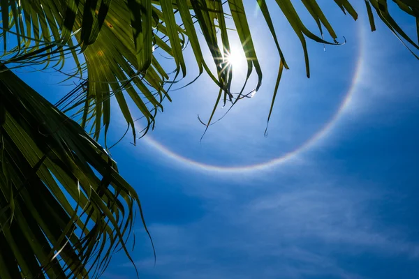 Sun halo with cloud in the sky