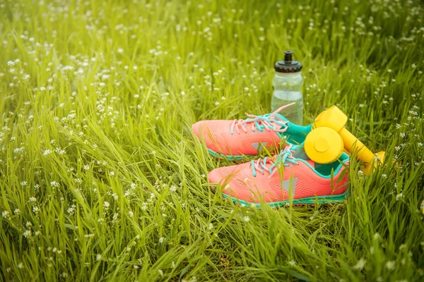 Sports equipment on a background of green grass. Healthy lifestyles concept