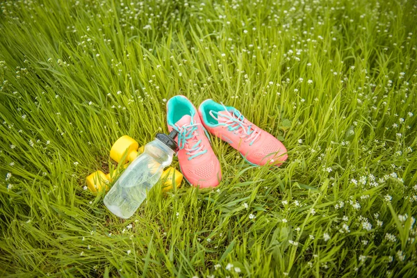 Sports equipment on a background of green grass. Healthy lifestyles concept