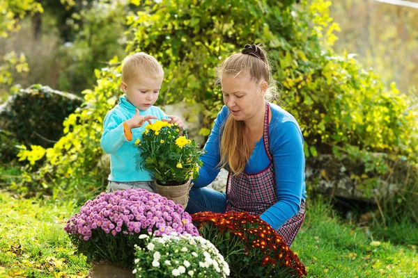 Young woman with a child are planting flowers