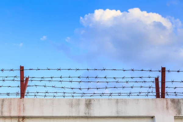 Barbed wire wall on blue sky