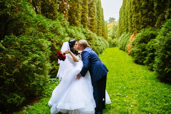 Loving couple having fun in the forest, kissing and whirling around themselves, happy bride and groom enjoying wedding day