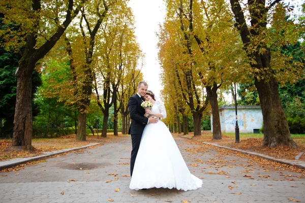 Bride and Groom at wedding Day walking Outdoors on autumn nature. Bridal couple, Happy Newlywed woman and man embracing in green park. Loving wedding couple outdoor.