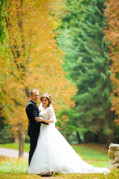 Wedding couple. Beautiful bride and groom. Just married. Close up. Happy bride and groom on their wedding hugging. Groom and Bride in a park. wedding dress. Bridal wedding, autumn
