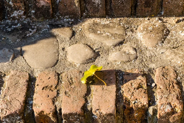 Fallen yellow leave on ancient bricks and stones
