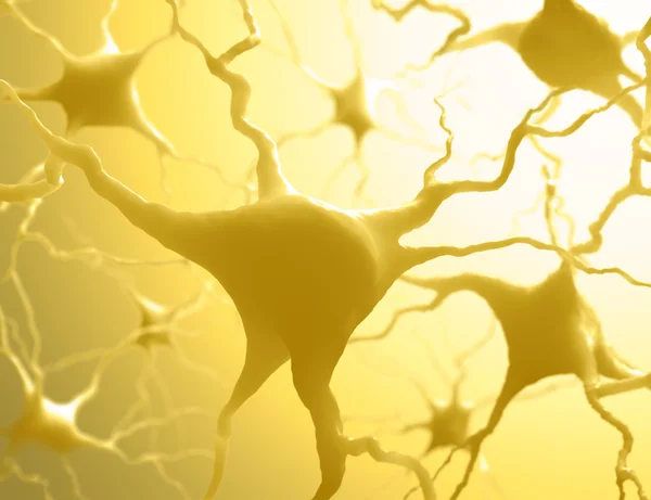Neurones Inside the brain