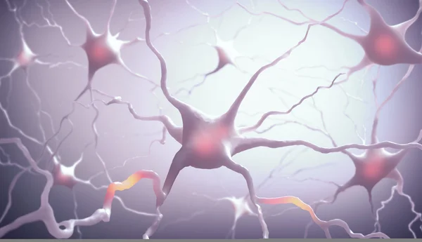 Neurones Inside the brain